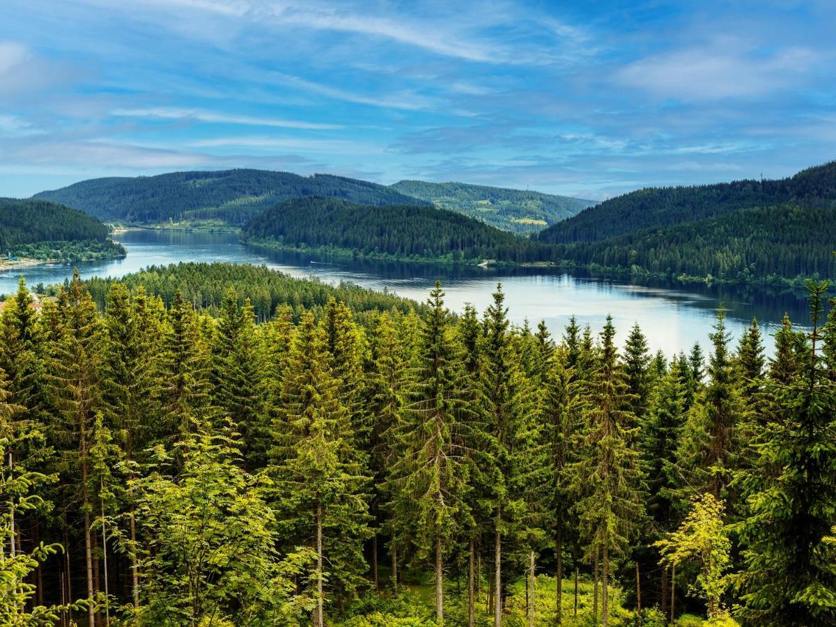 Black Forest Luxury Apartment Waldglueck Mit Sauna Königsfeld im Schwarzwald Eksteriør billede