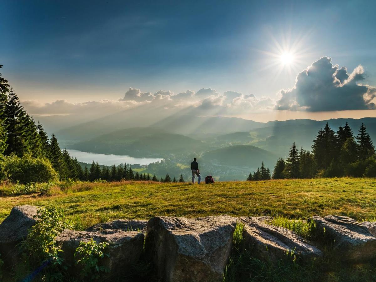 Black Forest Luxury Apartment Waldglueck Mit Sauna Königsfeld im Schwarzwald Eksteriør billede